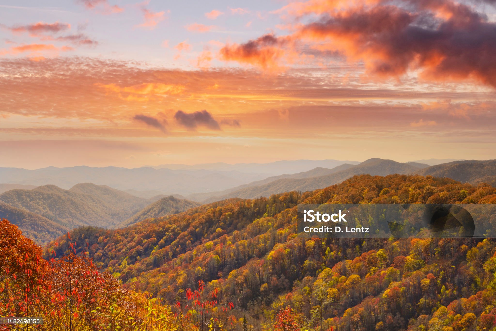 Smoky Mountains Autumn